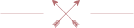 Icon Pink
